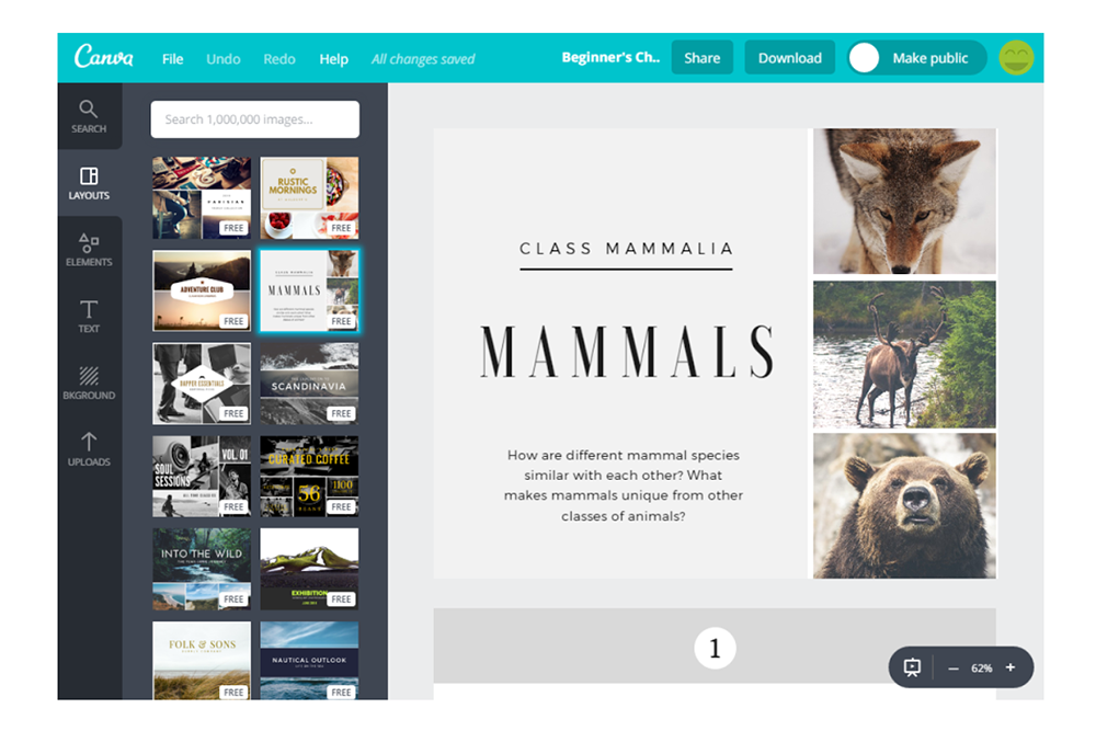 instagram marketing tools - canva