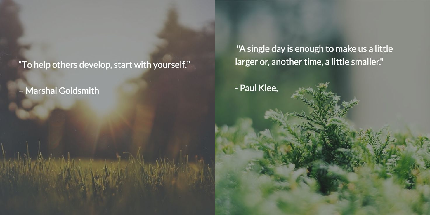 instagram marketing tools - pablo