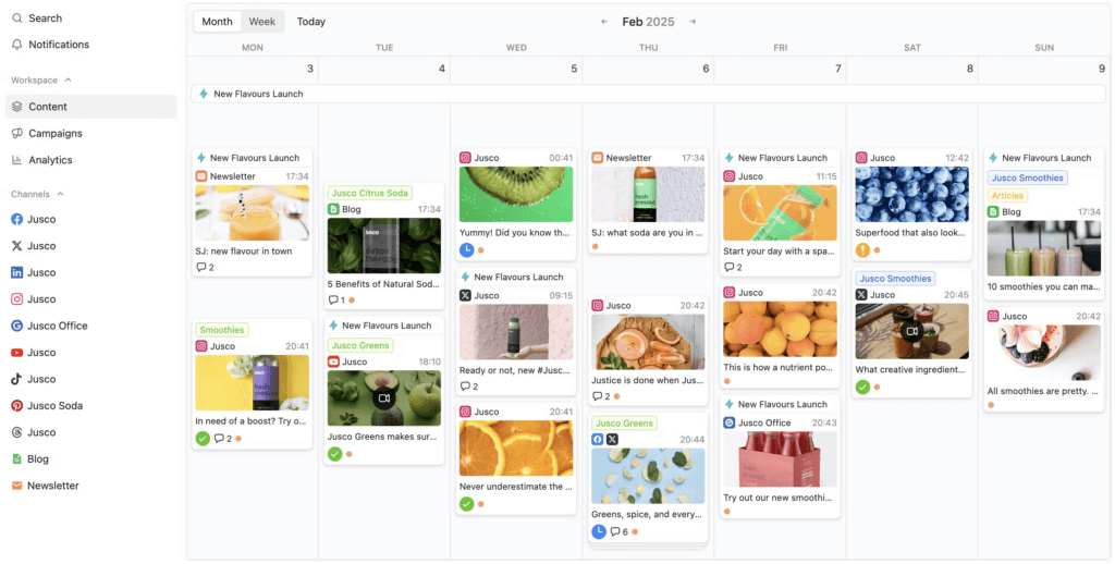 social media planning - visual planner
