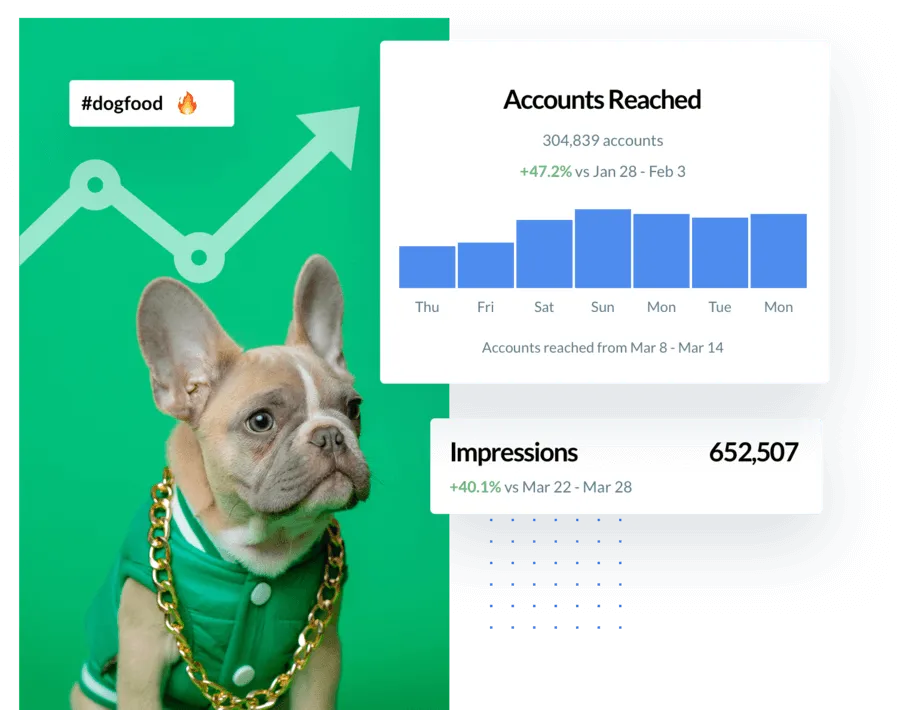 French bulldog wearing a green jacket and gold chain with a green upward-trending graph and social media metrics showing 304,839 accounts reached and 652,507 impressions with positive percentage growth.