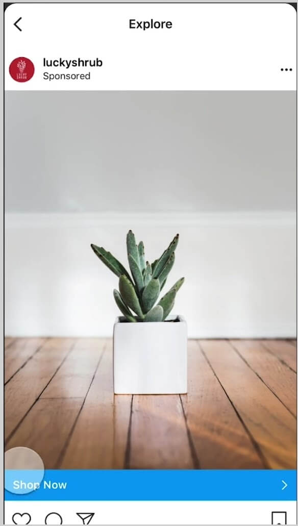 luckyshrub کاوش تبلیغات